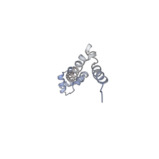 8619_5uyp_19_v1-4
70S ribosome bound with near-cognate ternary complex base-paired to A site codon, open 30S (Structure II-nc)