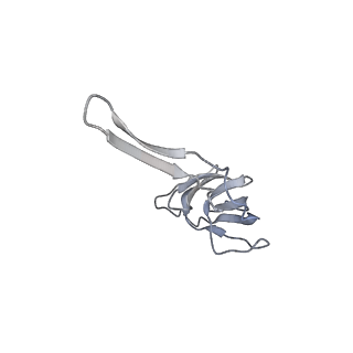 8619_5uyp_20_v1-4
70S ribosome bound with near-cognate ternary complex base-paired to A site codon, open 30S (Structure II-nc)