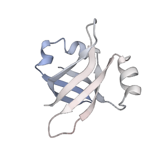 8619_5uyp_24_v1-4
70S ribosome bound with near-cognate ternary complex base-paired to A site codon, open 30S (Structure II-nc)