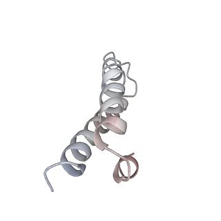 8619_5uyp_27_v1-4
70S ribosome bound with near-cognate ternary complex base-paired to A site codon, open 30S (Structure II-nc)