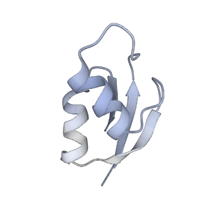 8619_5uyp_28_v1-4
70S ribosome bound with near-cognate ternary complex base-paired to A site codon, open 30S (Structure II-nc)