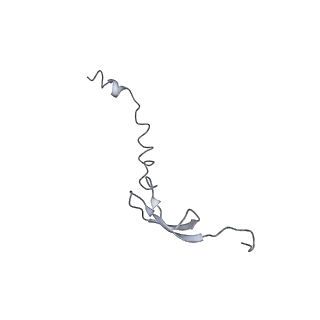 8619_5uyp_29_v1-4
70S ribosome bound with near-cognate ternary complex base-paired to A site codon, open 30S (Structure II-nc)