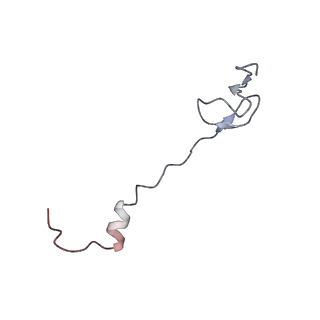 8619_5uyp_30_v1-4
70S ribosome bound with near-cognate ternary complex base-paired to A site codon, open 30S (Structure II-nc)