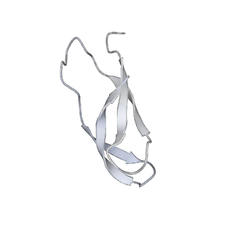 8619_5uyp_31_v1-4
70S ribosome bound with near-cognate ternary complex base-paired to A site codon, open 30S (Structure II-nc)