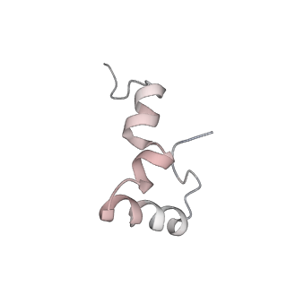 8619_5uyp_32_v1-4
70S ribosome bound with near-cognate ternary complex base-paired to A site codon, open 30S (Structure II-nc)