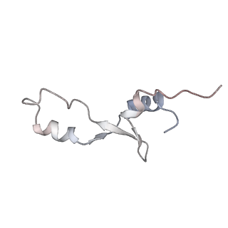 8619_5uyp_33_v1-4
70S ribosome bound with near-cognate ternary complex base-paired to A site codon, open 30S (Structure II-nc)