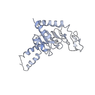 8619_5uyp_B_v1-3
70S ribosome bound with near-cognate ternary complex base-paired to A site codon, open 30S (Structure II-nc)