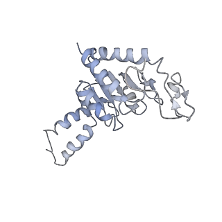 8619_5uyp_B_v1-4
70S ribosome bound with near-cognate ternary complex base-paired to A site codon, open 30S (Structure II-nc)