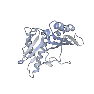 8619_5uyp_C_v1-3
70S ribosome bound with near-cognate ternary complex base-paired to A site codon, open 30S (Structure II-nc)