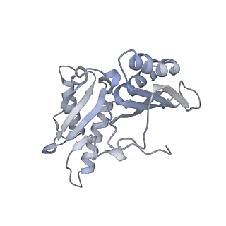 8619_5uyp_C_v1-4
70S ribosome bound with near-cognate ternary complex base-paired to A site codon, open 30S (Structure II-nc)