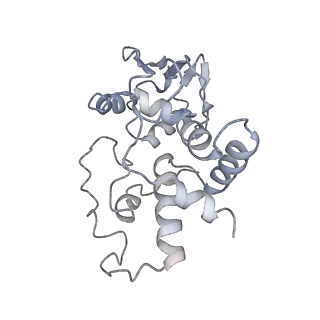 8619_5uyp_D_v1-3
70S ribosome bound with near-cognate ternary complex base-paired to A site codon, open 30S (Structure II-nc)