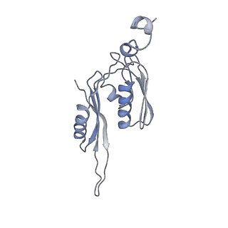 8619_5uyp_E_v1-4
70S ribosome bound with near-cognate ternary complex base-paired to A site codon, open 30S (Structure II-nc)