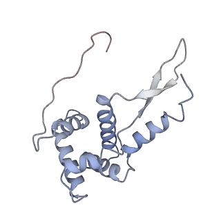 8619_5uyp_G_v1-3
70S ribosome bound with near-cognate ternary complex base-paired to A site codon, open 30S (Structure II-nc)