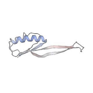 8619_5uyp_J_v1-4
70S ribosome bound with near-cognate ternary complex base-paired to A site codon, open 30S (Structure II-nc)