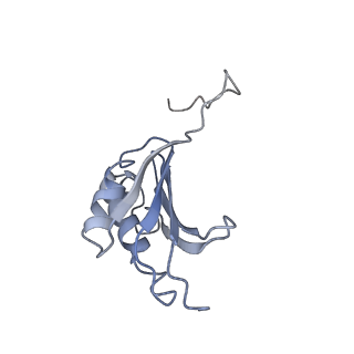 8619_5uyp_K_v1-3
70S ribosome bound with near-cognate ternary complex base-paired to A site codon, open 30S (Structure II-nc)