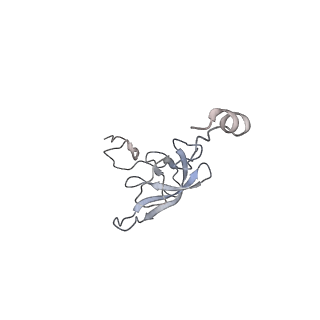 8619_5uyp_L_v1-3
70S ribosome bound with near-cognate ternary complex base-paired to A site codon, open 30S (Structure II-nc)