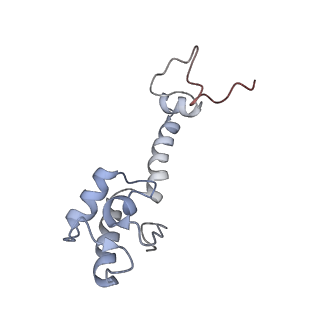 8619_5uyp_M_v1-3
70S ribosome bound with near-cognate ternary complex base-paired to A site codon, open 30S (Structure II-nc)
