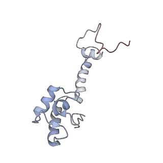 8619_5uyp_M_v1-4
70S ribosome bound with near-cognate ternary complex base-paired to A site codon, open 30S (Structure II-nc)