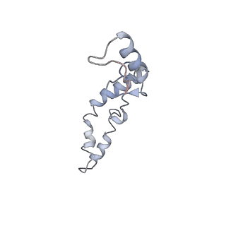 8619_5uyp_N_v1-4
70S ribosome bound with near-cognate ternary complex base-paired to A site codon, open 30S (Structure II-nc)