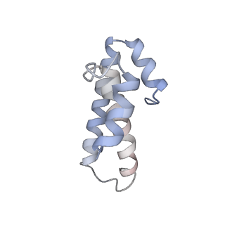 8619_5uyp_O_v1-4
70S ribosome bound with near-cognate ternary complex base-paired to A site codon, open 30S (Structure II-nc)