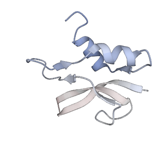 8619_5uyp_P_v1-4
70S ribosome bound with near-cognate ternary complex base-paired to A site codon, open 30S (Structure II-nc)