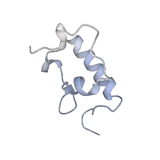 8619_5uyp_R_v1-3
70S ribosome bound with near-cognate ternary complex base-paired to A site codon, open 30S (Structure II-nc)