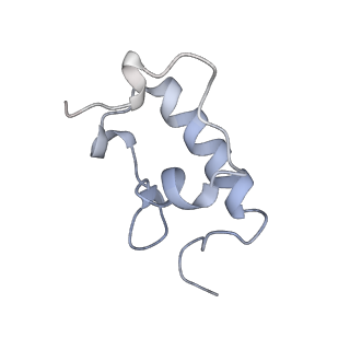 8619_5uyp_R_v1-4
70S ribosome bound with near-cognate ternary complex base-paired to A site codon, open 30S (Structure II-nc)