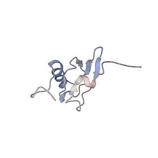 8619_5uyp_S_v1-3
70S ribosome bound with near-cognate ternary complex base-paired to A site codon, open 30S (Structure II-nc)