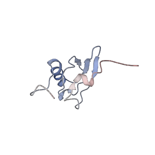 8619_5uyp_S_v1-4
70S ribosome bound with near-cognate ternary complex base-paired to A site codon, open 30S (Structure II-nc)