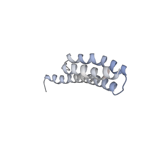 8619_5uyp_T_v1-4
70S ribosome bound with near-cognate ternary complex base-paired to A site codon, open 30S (Structure II-nc)