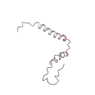 8619_5uyp_U_v1-3
70S ribosome bound with near-cognate ternary complex base-paired to A site codon, open 30S (Structure II-nc)