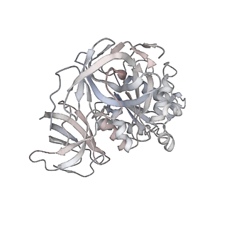 8619_5uyp_Z_v1-3
70S ribosome bound with near-cognate ternary complex base-paired to A site codon, open 30S (Structure II-nc)