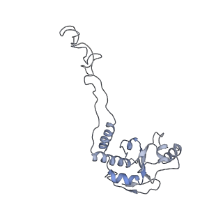 8620_5uyq_06_v1-3
70S ribosome bound with near-cognate ternary complex base-paired to A site codon, closed 30S (Structure III-nc)