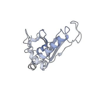 8620_5uyq_07_v1-4
70S ribosome bound with near-cognate ternary complex base-paired to A site codon, closed 30S (Structure III-nc)