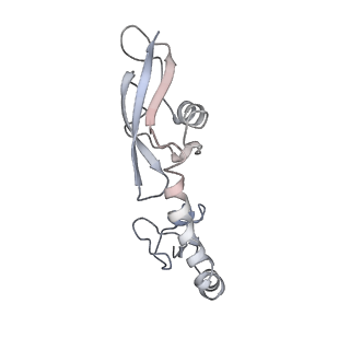 8620_5uyq_09_v1-4
70S ribosome bound with near-cognate ternary complex base-paired to A site codon, closed 30S (Structure III-nc)