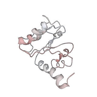 8620_5uyq_10_v1-3
70S ribosome bound with near-cognate ternary complex base-paired to A site codon, closed 30S (Structure III-nc)