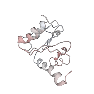 8620_5uyq_10_v1-4
70S ribosome bound with near-cognate ternary complex base-paired to A site codon, closed 30S (Structure III-nc)