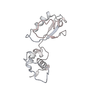 8620_5uyq_11_v1-3
70S ribosome bound with near-cognate ternary complex base-paired to A site codon, closed 30S (Structure III-nc)
