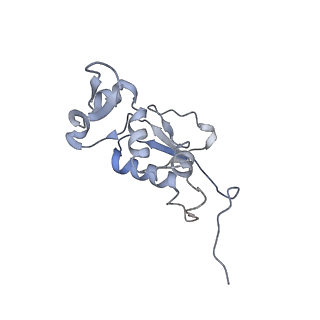8620_5uyq_12_v1-3
70S ribosome bound with near-cognate ternary complex base-paired to A site codon, closed 30S (Structure III-nc)