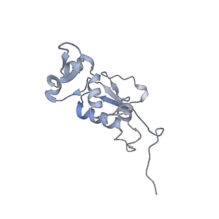 8620_5uyq_12_v1-4
70S ribosome bound with near-cognate ternary complex base-paired to A site codon, closed 30S (Structure III-nc)