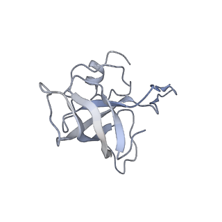 8620_5uyq_13_v1-3
70S ribosome bound with near-cognate ternary complex base-paired to A site codon, closed 30S (Structure III-nc)