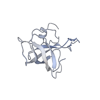 8620_5uyq_13_v1-4
70S ribosome bound with near-cognate ternary complex base-paired to A site codon, closed 30S (Structure III-nc)