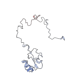 8620_5uyq_14_v1-3
70S ribosome bound with near-cognate ternary complex base-paired to A site codon, closed 30S (Structure III-nc)