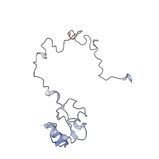 8620_5uyq_14_v1-4
70S ribosome bound with near-cognate ternary complex base-paired to A site codon, closed 30S (Structure III-nc)