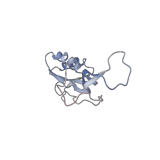 8620_5uyq_15_v1-3
70S ribosome bound with near-cognate ternary complex base-paired to A site codon, closed 30S (Structure III-nc)
