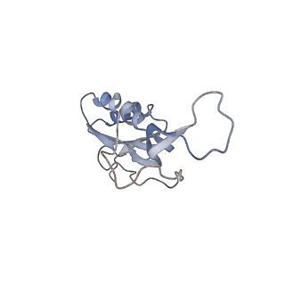 8620_5uyq_15_v1-4
70S ribosome bound with near-cognate ternary complex base-paired to A site codon, closed 30S (Structure III-nc)