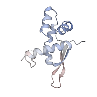 8620_5uyq_16_v1-3
70S ribosome bound with near-cognate ternary complex base-paired to A site codon, closed 30S (Structure III-nc)