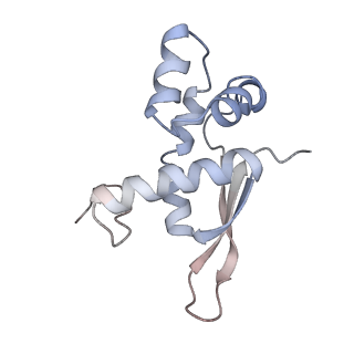 8620_5uyq_16_v1-4
70S ribosome bound with near-cognate ternary complex base-paired to A site codon, closed 30S (Structure III-nc)