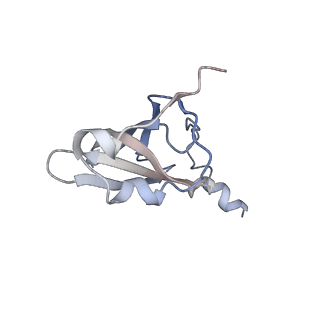8620_5uyq_18_v1-3
70S ribosome bound with near-cognate ternary complex base-paired to A site codon, closed 30S (Structure III-nc)