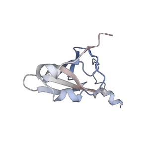 8620_5uyq_18_v1-4
70S ribosome bound with near-cognate ternary complex base-paired to A site codon, closed 30S (Structure III-nc)